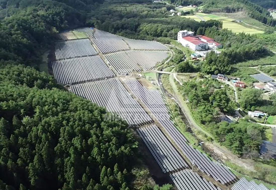春回大地，邁貝特見證日本福島重煥生機