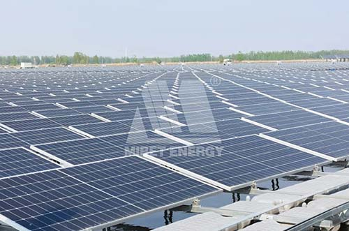 72MW！邁貝特江蘇沛縣水上光伏電站項目閃耀上線！